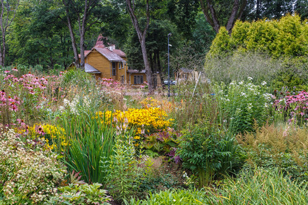 complex flower bed of perennial plants in the city park. Druskininkai, Lithuania.の写真素材