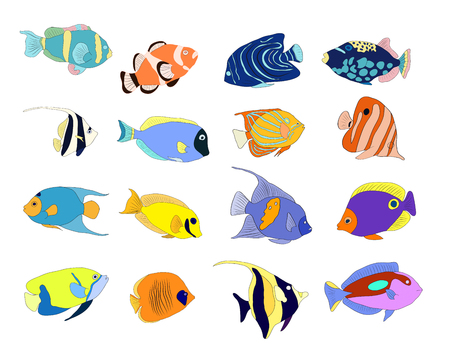 Hand drawn  fish set with colorful background.Isolated on white. Sketch, vector illustration.のイラスト素材
