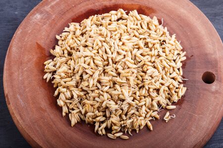 Heap of germinated oats on brown wooden background, close up, top view.の写真素材