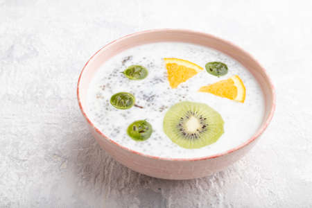 Yogurt with kiwi, gooseberry, chia in ceramic bowl on gray concrete background. Side view, close up.の写真素材
