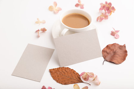 Composition with gray paper business card, brown beech autumn leaves, hydrangea flowers and cup of coffee. mockup on white background. Blank, side view, still life, copy space.の写真素材