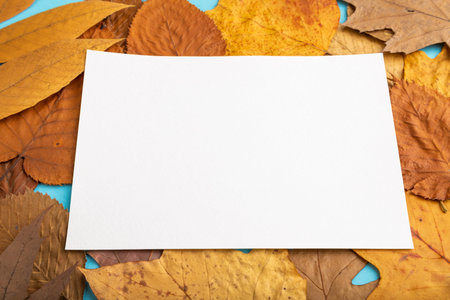 Composition with yellow and brown autumn leaves and white paper mockup on blue pastel background. Blank, side view, still life, copy space.の写真素材