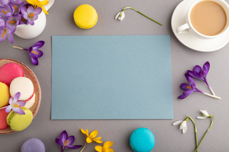 Blue paper sheet mockup with spring snowdrop crocus flowers and multicolored macaroons on gray...