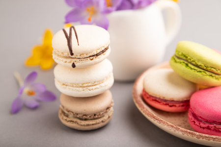 Multicolored macaroons with spring snowdrop crocus flowers on gray pastel background. side view,...