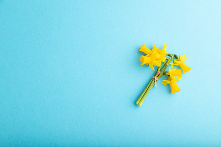 Spring snowdrop narcissus flowers bouquet on blue pastel background. top view, flat lay, copy space, still life. Beauty, spring concept.の写真素材