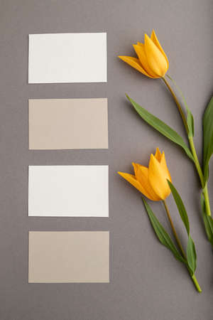 White and beige business cards and orange tulip flowers on gray pastel background. top view, flat lay, copy space, still life. Beauty, spring, summer concept.の写真素材
