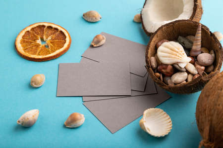 Gray paper business card with coconut and seashells on blue pastel background. Side view, copy space. Tropical, healthy food, vacation, holidays concept.の写真素材