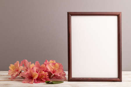 Wooden frame with pink azalea flowers on gray pastel background. side view, copy space, mockup, template, spring, summer minimalism concept.の写真素材