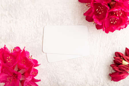 White business card with purple azalea flowers on gray concrete background. top view, flat lay, copy space, mockup, template, spring, summer minimalism concept.の写真素材