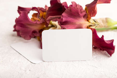 White business card with iris burgundy purple flowers on white concrete background. side view, copy space, mockup, template, spring, summer minimalism concept.の写真素材