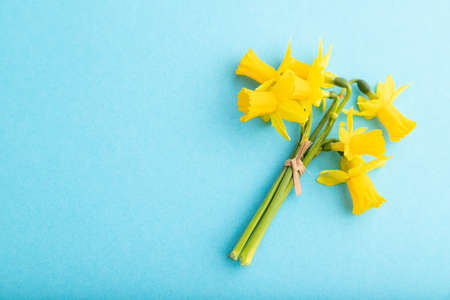 Spring snowdrop narcissus flowers bouquet on blue pastel background. top view, flat lay, copy space, still life. Beauty, spring concept.の写真素材