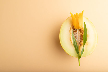 Sliced ripe yellow melon and tulip flower on orange pastel background. Top view, flat lay, copy...