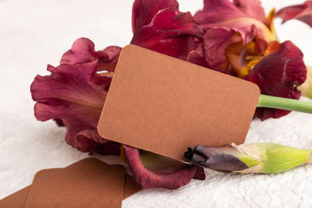 Brown business card with iris burgundy purple flowers on white concrete background. side view, copy space, mockup, template, spring, summer minimalism concept.の写真素材