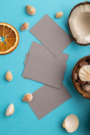 Gray paper business card with coconut and seashells on blue pastel background. Top view, flat lay, copy space. Tropical, healthy food, vacation, holidays concept.の写真素材