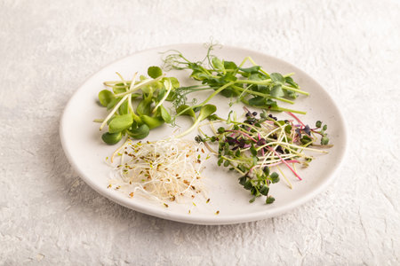 White ceramic plate with microgreen sprouts of green pea, sunflower, alfalfa, radish on gray...