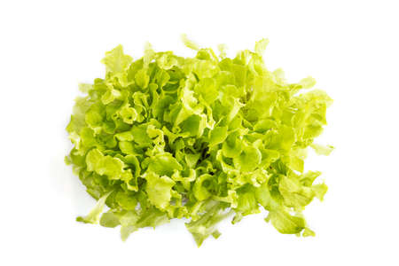 Plastic box with microgreen sprouts of green lettuce isolated on white background. Top view, flat lay, close up.の写真素材