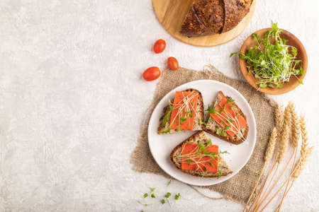 Grain bread sandwiches with red tomato cheese and mizuna cabbage microgreen on gray concrete background and linen textile. top view, flat lay, copy space.の写真素材