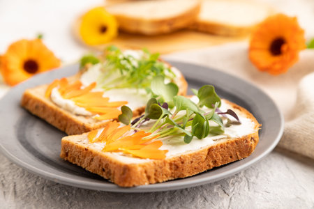 White bread sandwiches with cream cheese, calendula petals and microgreen radish and tagetes on gray concrete background and linen textile. side view, selective focus.の写真素材