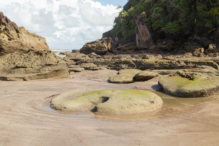 Cliff in Bako national park, sunny day, blue sky and sea. Vacation, travel, tropics concept, no...