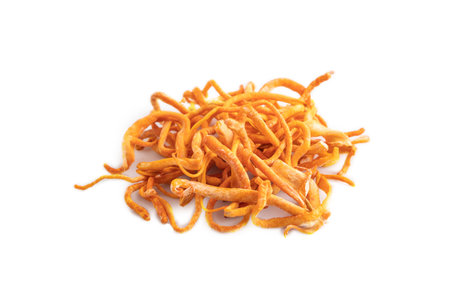 Fresh Cordyceps militaris mushrooms isolated on white background. Side view, copy space.の写真素材