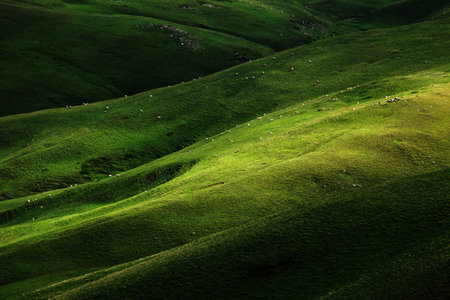 grassland sceneryの写真素材