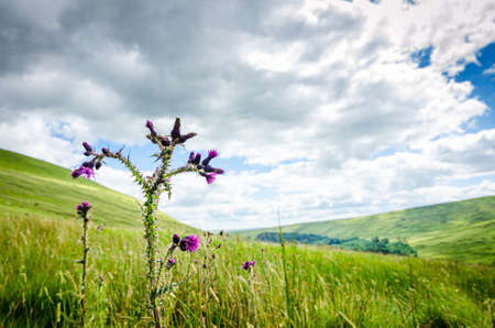 July 13, 2016 -  Hiking Pen Y Fan Mountain in  south Wales, situated in the Brecon Beacons National Park. Beautiful scenic with fresh air.のeditorial素材