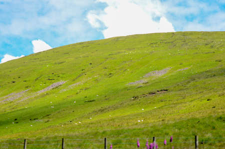 July 13, 2016 -  Hiking Pen Y Fan Mountain in  south Wales, situated in the Brecon Beacons National Park. Beautiful scenic with fresh air.のeditorial素材