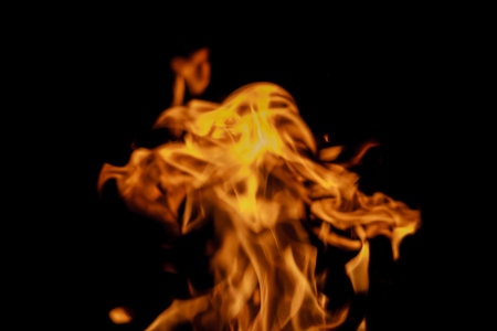 Burning firewood in the fireplace close up