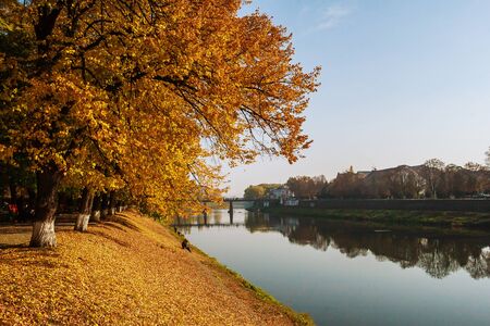 Autumn. yellow trees near the river against the blue skyの写真素材