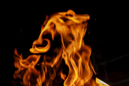 Burning firewood in the fireplace close up
