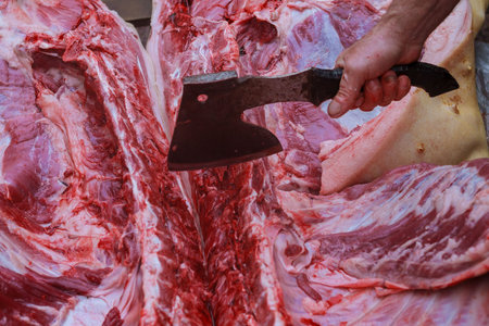 The farmer butchering a pig in the village. Home slaughter of pig.