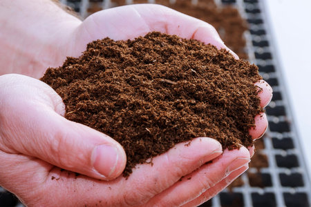 A handful of fertile land in the hands of the farmer. Sowing seeds.