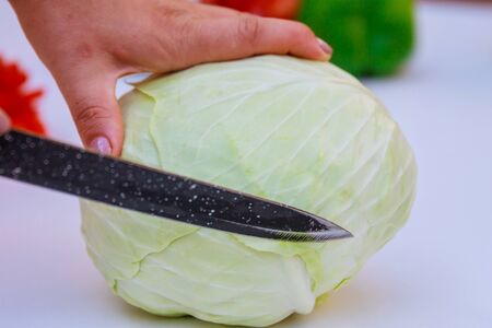 Woman slices fresh organic cabbage for making salad or for pickling cabbage.の写真素材