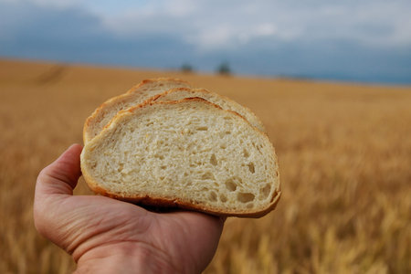 Man holding bread on a background of wheat field