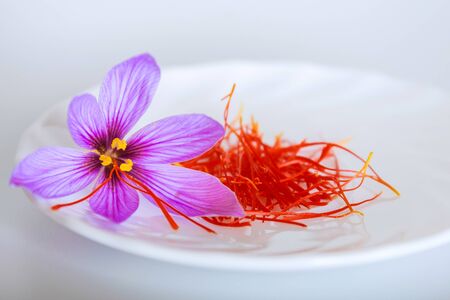 saffron flower and saffron threads on a white plate on a white background. The most expensive spice.の写真素材