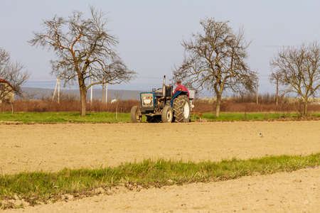 Spring soil cultivation. Planting potatoes with a small tractorの写真素材