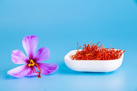 Crocus saffron and dry saffron stamens on a blue background. Studio photography. A place to write text.の写真素材