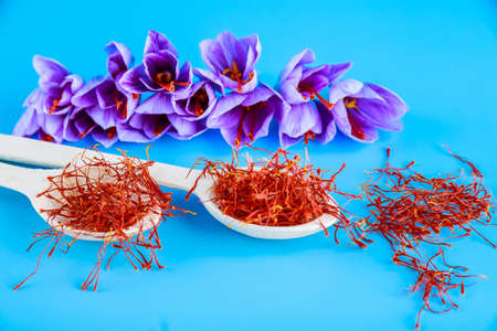 Saffron stamens in a spoon and scattered on a blue background.の写真素材