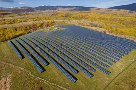 Solar panels near the forest. Ecology concept with solar panels. View from above.