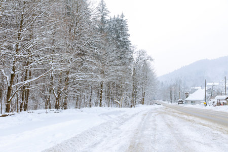 Snowy road near the village, a tree in the snow. Slippy road. Cold frosty winter.の写真素材