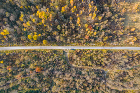Road in the mountains. Autumn forest, view from above.