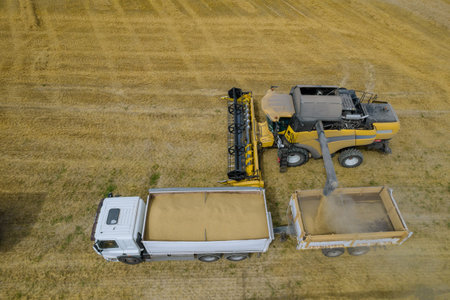 The yellow combine pours wheat into the grain truck trailer in the field. Photo from a drone from a...