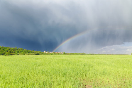 Multicolored rainbow over a green field, freshness after rain.の写真素材