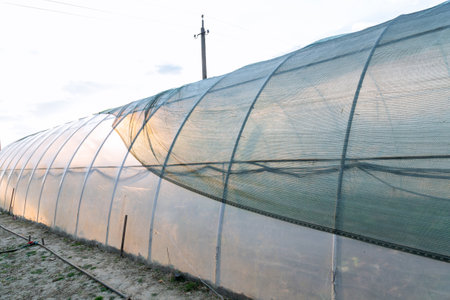 Shading green net on the greenhouse, artificial protection from the sun.の写真素材