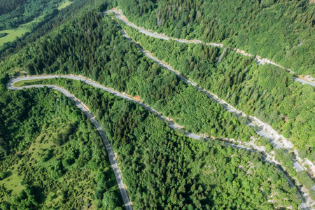 Serpentine road offers a thrilling and scenic drive through captivating forested landscape.