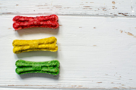 encouraging, food, dog, chewing, boneの写真素材