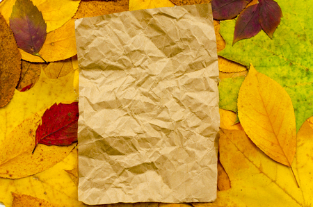 autumn, background, leaves, paperの写真素材