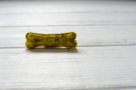 bone, dog, chewing, food, tasty, 

encouragingの写真素材