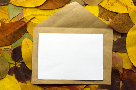 Envelope with card on autumn leaves backgroundの写真素材