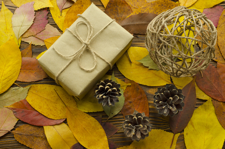 Gift box on colored autumn leaves backgroundの写真素材